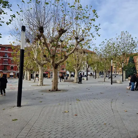 Boreal Nuevo *